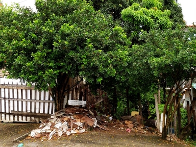 Vendo Lote em Flor do Campo - Área 231,645m2