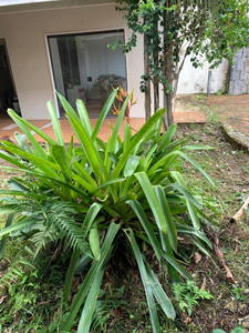 Charmosa Casa em Peruíbe com Piscina e Jardim