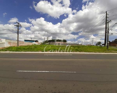 Terreno para locação, Jardim Carvalho, PONTA GROSSA - PR