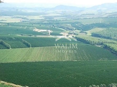 Fazenda em Centro, Passos/MG de 5300000m² 5 quartos à venda por R$ 699.000,00