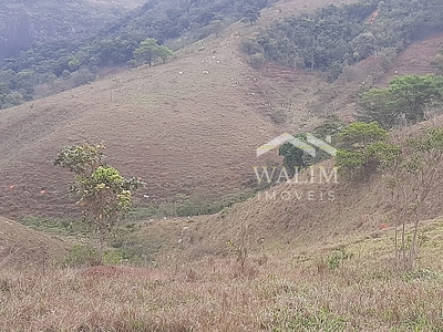 Fazenda em Zona Rural, Itaguara/MG de 1000000m² 4 quartos à venda por R$ 3.199.000,00