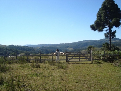 Terreno em , Rancho Queimado/SC de 0m² à venda por R$ 748.000,00