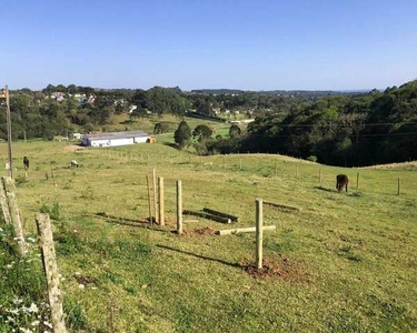 Terreno para Venda em São Bento do Sul, Centenário