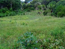 Terreno à venda no bairro Arraial D`Ajuda em Porto Seguro