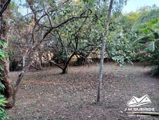 Terreno à venda no bairro Martim Francisco em Mogi Mirim