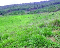 Urgente.fazenda de 50 hectares por 159 mil