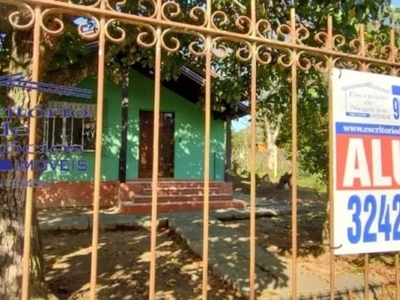 Casa térrea para alugar, 3 dormitórios, uma suíte, lavanderia, churrasqueira, cozinha ampla, pátio, parreira