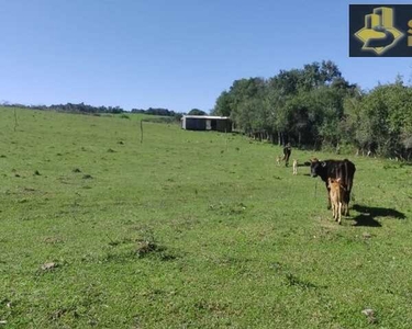 Chácara a Venda no bairro Centro - Morro Redondo, RS