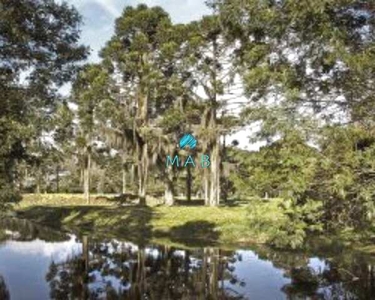 Terreno à Venda em Fantástico Condomínio Residencial na Serra Catarinense - Rancho Queimad