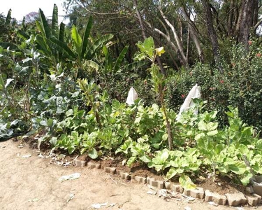 TERRENO RESIDENCIAL em PINDAMONHANGABA - SP, CIDADE NOVA