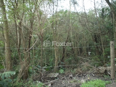 Terreno à venda Rua Giácomo Muttoni, Belém Velho - Porto Alegre