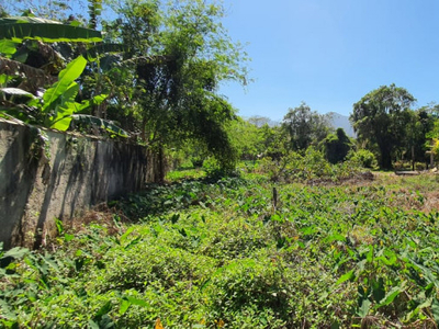 Terreno plano com escritura definitiva - Camburi