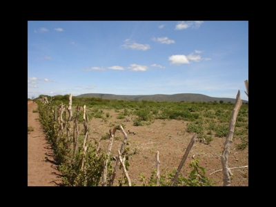 Vendo Propriedade Rural em microrregião de Jacobina