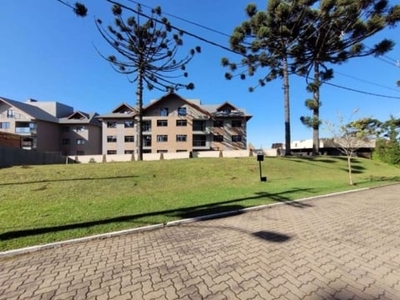 Terreno residencial à venda, altos pinheiros, canela