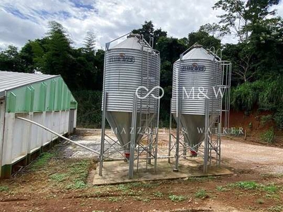 SITIO COM AVIARIOS, PROXIMO DA CIDADE, CALCAMENTO ATE O MESMO. ZONA RURAL, MEDIANEIRA - P