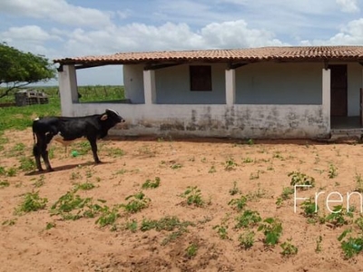 Fazenda em Rural, Afonso Bezerra/RN de 0m² à venda por R$ 1.099.000,00