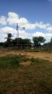 Fazenda em Rural, Afonso Bezerra/RN de 0m² à venda por R$ 299.000,00