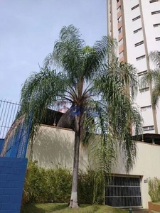 Apartamento aluga/ vende - Condomínio Edifício Torre do Sol - Jardim Paraiso - Campinas/SP