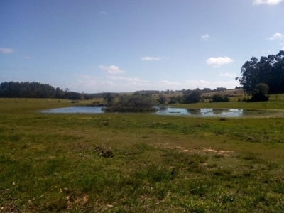 Compro fazenda acima de 80 hectares