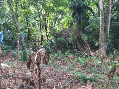 Imóvel em Guapimirim RJ