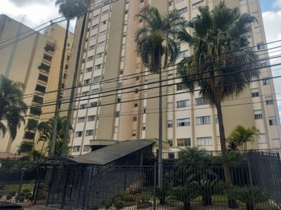 Lindo apartamento para venda localizado no jardim paraíso - campinas - sp