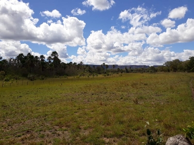 Vende-se área de terra no Piauí com 3.843 hectares chame no zap 89981040597