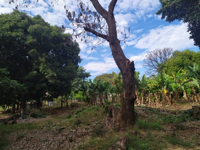 Vende-se chácara em Maringá