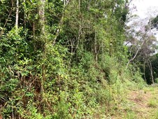 Terreno à venda no bairro São Lourenço da Serra em São Lourenço da Serra