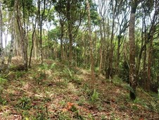 Terreno à venda no bairro São Lourenço da Serra em São Lourenço da Serra