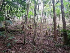 Terreno à venda no bairro São Lourenço da Serra em São Lourenço da Serra