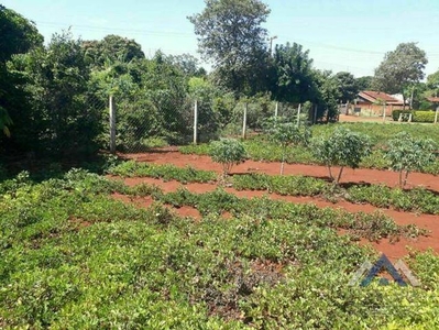 Chácara à venda no bairro Centro em Alvorada do Sul