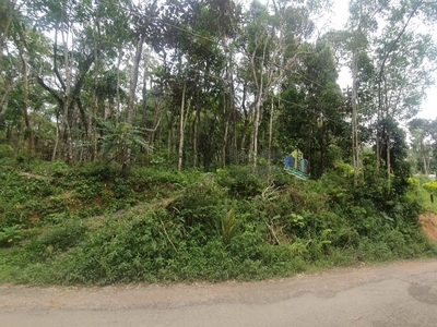 Terreno à venda, pereiras, São Lourenço da Serra, SP