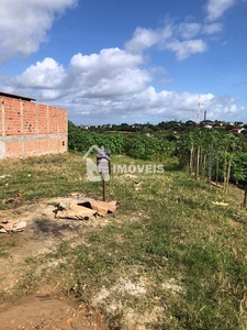 Terreno ? venda, Sr. do Bonfim, Penedo, AL