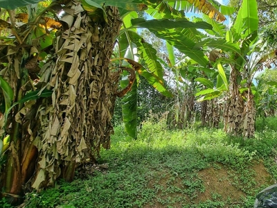 Área em Santana, Cotia/SP de 0m² à venda por R$ 549.000,00