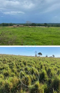 Fazenda em , Guiratinga/MT de 10m² à venda por R$ 30.419.000,00