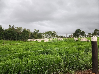 Fazenda em Zona Rural, Pirenópolis/GO de 6002400m² à venda por R$ 54.999.000,00