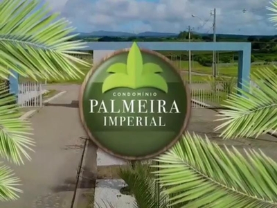 Terreno em Centro, Palmeira dos Índios/AL de 288m² à venda por R$ 70.000,00