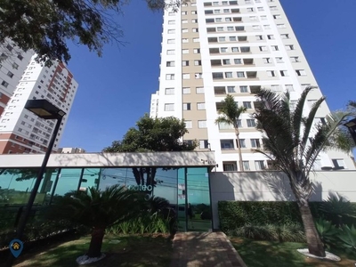 Londrina - Apartamento Padrão - Terra Bonita