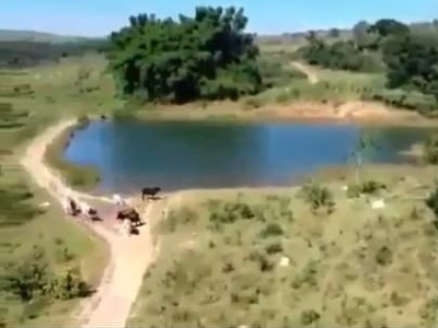 Fazenda em Fazenda Cardoso, Abadiânia/GO de 10m² 4 quartos à venda por R$ 8.749.000,00