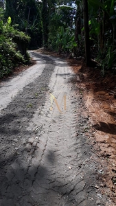 Terreno em Mato Dentro, Paraty/RJ de 10m² à venda por R$ 92.500,00