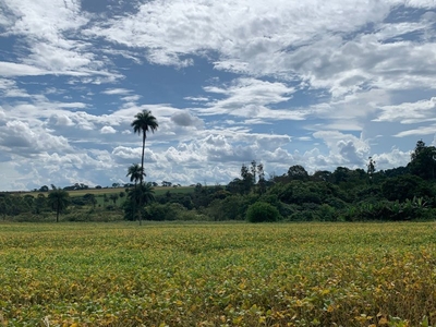 Área - Mogi Mirim, SP no bairro Rodovia Elzio Mariotoni