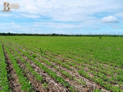 Fazenda em Santa Terezinha, Santa Terezinha/MT de 39000m² 10 quartos à venda por R$ 799.999.000,00