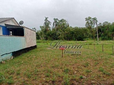 Terreno à venda, 150 m² por r$ 52.000,00 - vila das palmeiras - morretes/pr