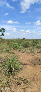 Fazenda Na Região De Alto Paraíso Rondônia