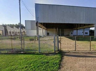 Galpão industrial ou logístico para alugar em Barra do Ribeiro, RS, distante 10km da BR116