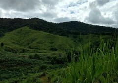 Fazenda a venda em Eldorado-SP 480 hectares