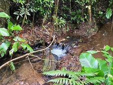 Fazenda à venda no bairro São Lourenço da Serra em São Lourenço da Serra