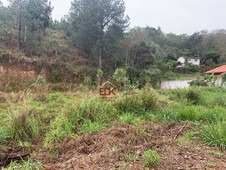 Terreno à venda no bairro Centro em São Luiz do Paraitinga