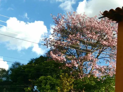 Casa A Venda Em Pirenópolis, 3q, 2banh