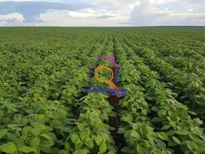 Fazenda dupla aptidão 17.000 mil ha formada em água boa-mt